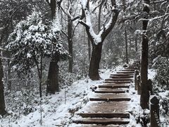 -青城山