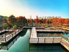 -五缘湾湿地公园