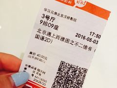 -华谊兄弟影院(北京洋桥店)