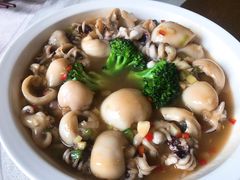 -四海酒家生态粤菜