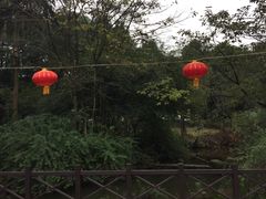 -陶然居·重庆菜(生态园店)