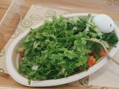 -油梨树 AVOCADO TREE(亮马桥店)