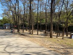 -北京西山国家森林公园