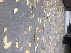 -星巴克(成都科学城店)