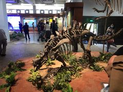 -自贡恐龙博物馆