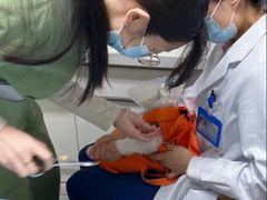 -达爱动物医院·犬猫分区·CT·复杂眼科(远洋山水分院)