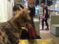-小时光咖啡馆(开森度假森林店)
