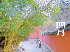 -潭柘寺景区