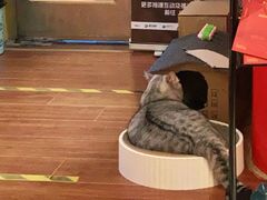 -H立方实景剧情密室(天河旗舰店)