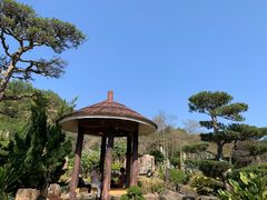 -深圳仙湖植物园