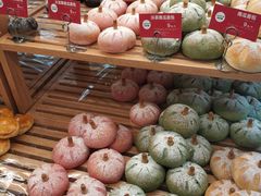 -味多美蛋糕(三元桥店)