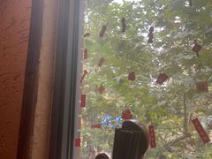 景观位-泥糊破店小酒馆·团建聚餐(南京西路店)