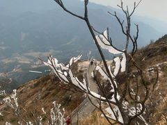 -金子山原生态旅游风景区