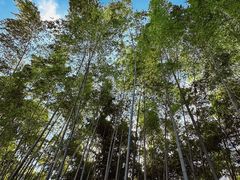 -苏州河梦清园环保主题公园