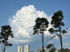 -武陵山森林公园
