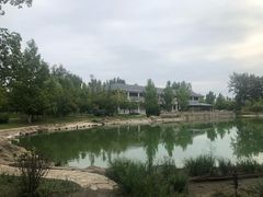 -中家鑫园温泉酒店鑫悦汤泉