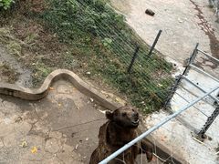 -无锡动物园·太湖欢乐园