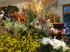 -知物癖(牛王庙店)