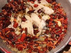 江鱼做水煮鱼-渝信川菜(长安店)