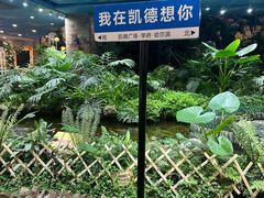 -凯德广场(学府店)