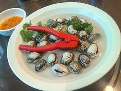 -长平肥姐白粥·海鲜打冷