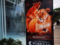 -罗红摄影艺术馆