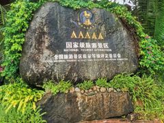 -呀诺达热带雨林