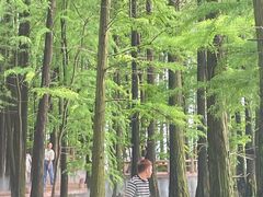 -东湖落雁景区