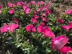 -漩门湾国家湿地公园