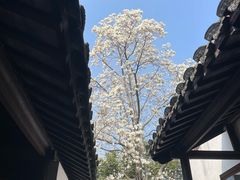 -常熟方塔园