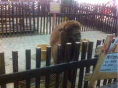 iphone_upload_pic-开元商城(西旺店)