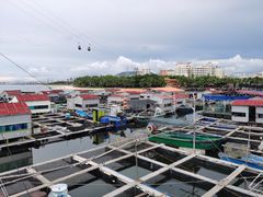 -蓝湾碧波·老字号·疍家非遗海上餐厅