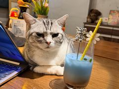 -咖法森林·咖啡  酒吧(天河店)