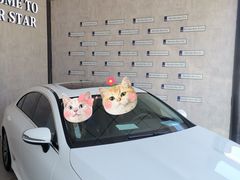 -奔驰北京鹏龙星徽(西大望路店)