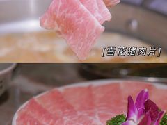 -禄婶鸡煲·打边炉