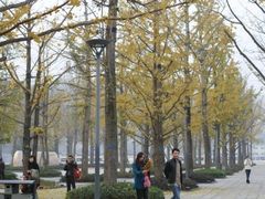 -百林公园-两江幸福广场