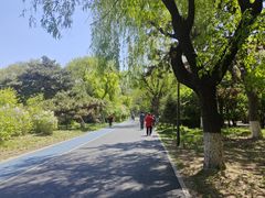 -万泉公园