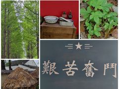-同里国家湿地公园