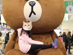 -line friends(明洞旗舰店)