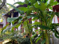 -天台山赤城山景区