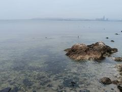 -养马岛旅游度假区