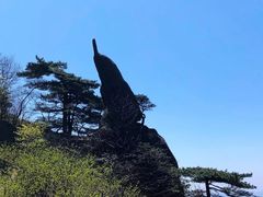 -黄山风景区