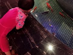 -水晶之星洗浴温泉汗蒸