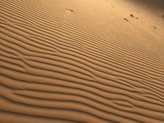 -亿利库布其七星湖沙漠生态旅游区