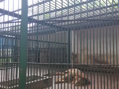 -甘棠公园