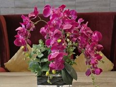 -广州逸林假日酒店·四季桃源中餐厅(白云山风景区店)