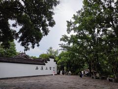 -西溪国家湿地公园