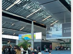 -西沃古尔·拉姆古兰爵士国际机场