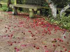 -雨花胜境