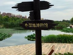 -前关湿地公园